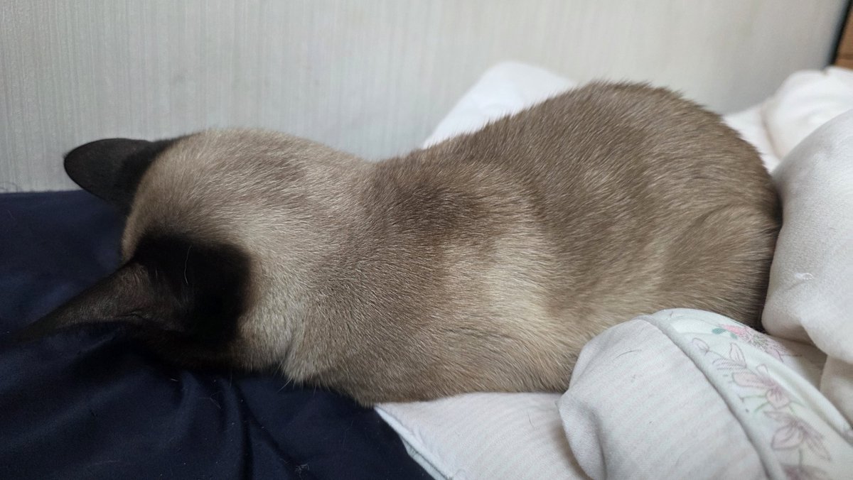 주놔주 tweet media