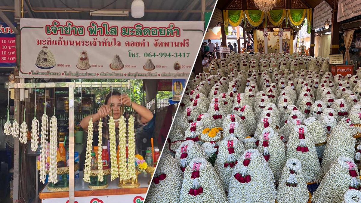 。 Mame 。A Birb from Babylonia tweet media