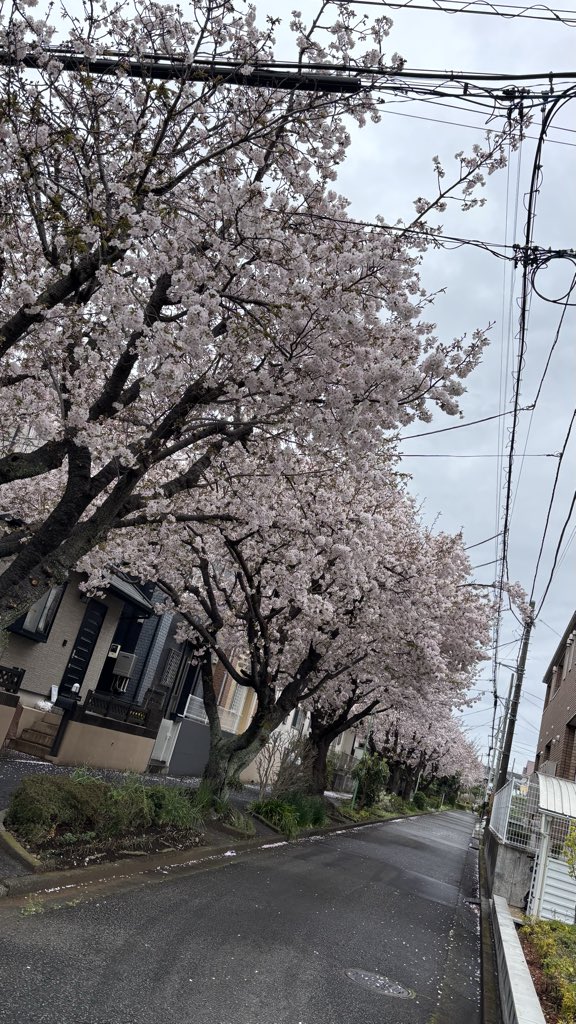 恭介🐴FL5🏎️ tweet media