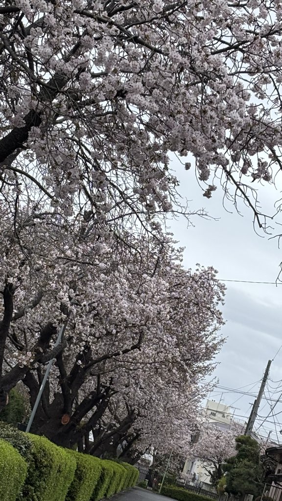 恭介🐴FL5🏎️ tweet media