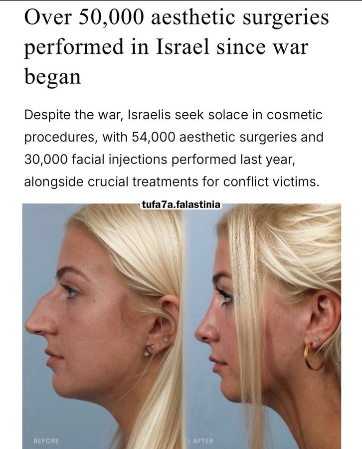 Noah’s Ark 🚢 tweet media