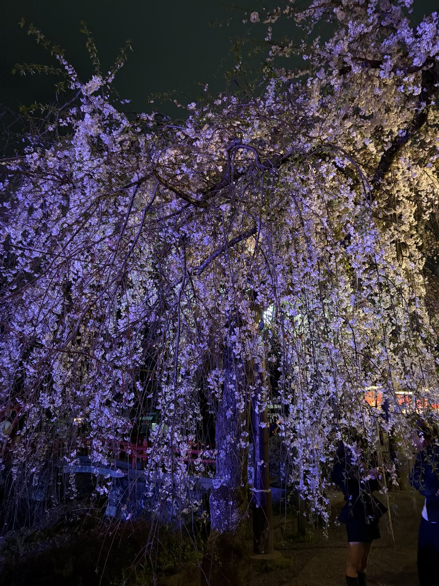 木村鋳造所(公式) tweet media