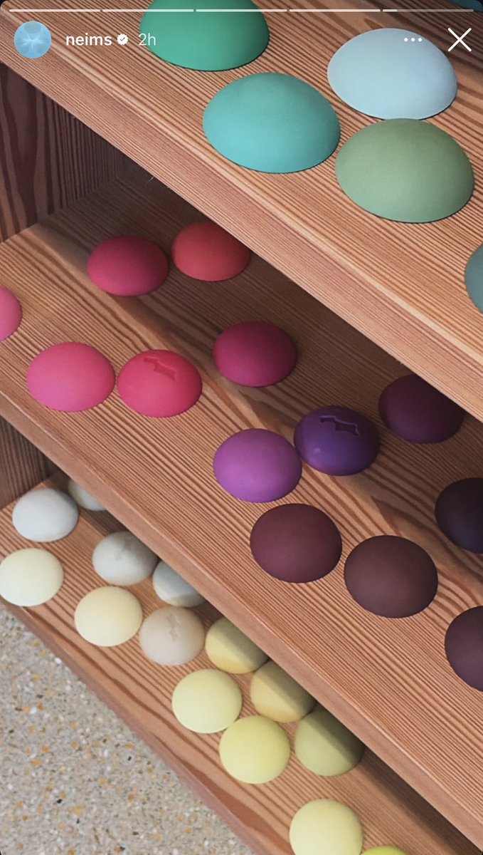 C.G || Daisies 🌼 tweet media