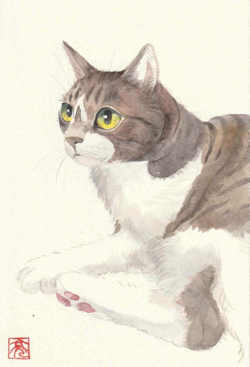 松本亮平 tweet media