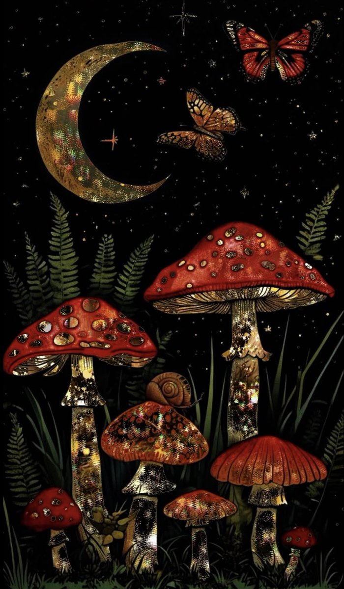 mikaellawitch13's tweet image. Sweet dreams, or fantastic dreams… 

✨🍄❤️🌙 

#magical