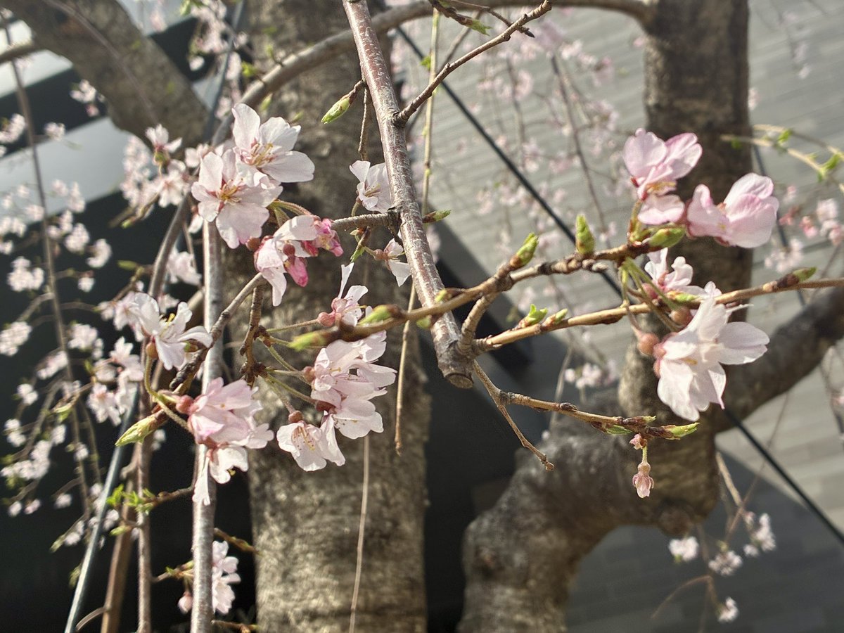 大阪エクセルホテル東急 tweet media