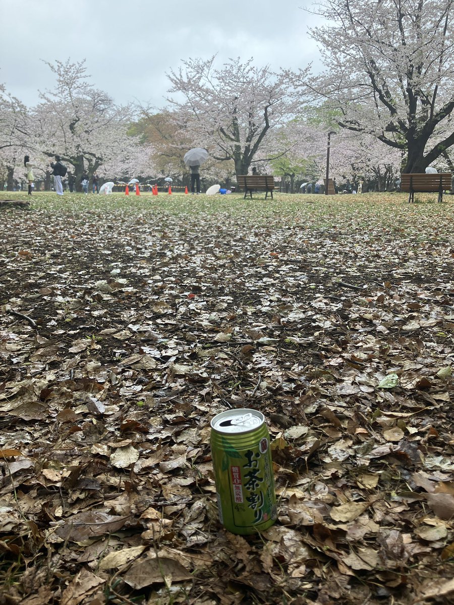 セクシー👯‍♀️ tweet media