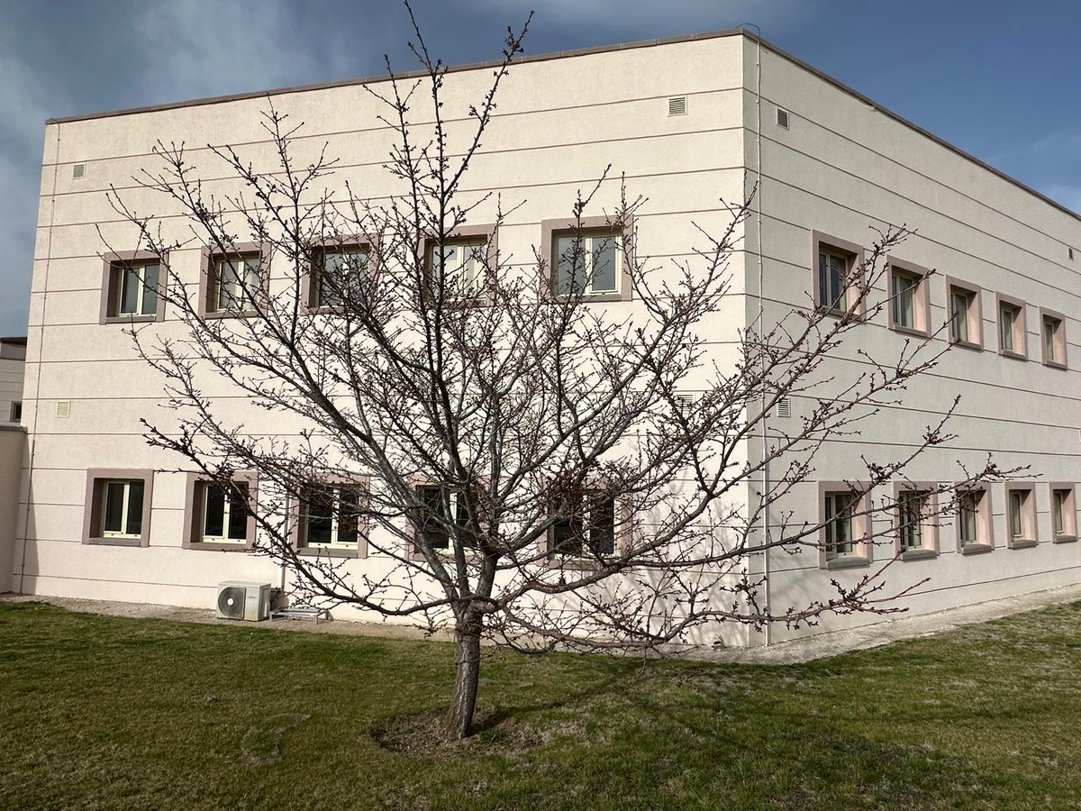 anatolia tweet media