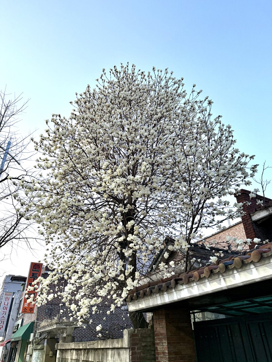 Padam Prasad Paudel tweet media