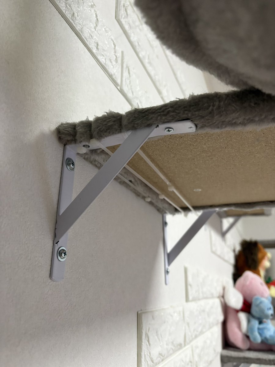 あずき🐾 tweet media