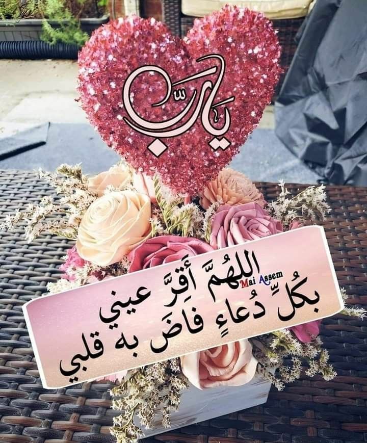 ❥∞ Fatima tweet media