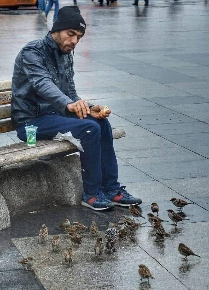 Ali Serçe tweet media