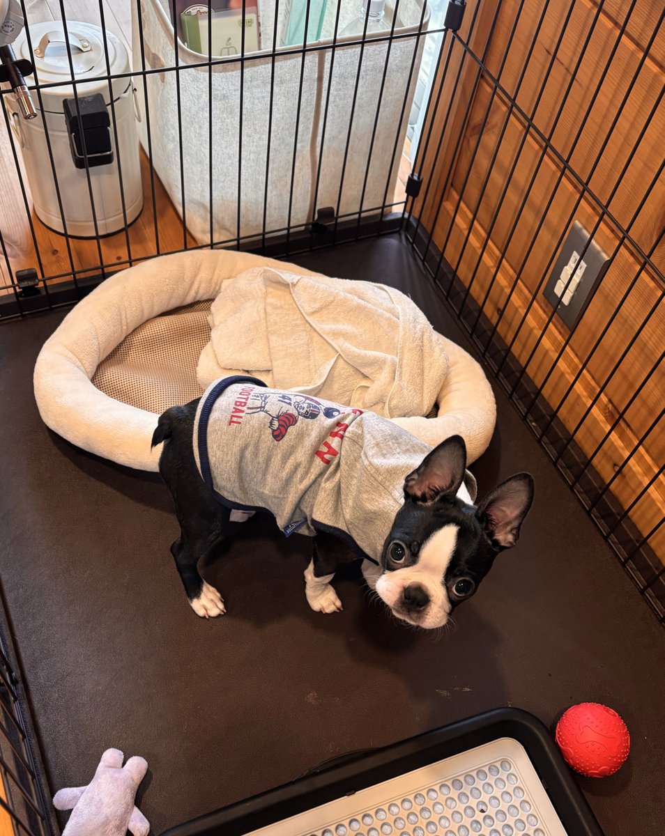 yomec(よめしー) tweet media