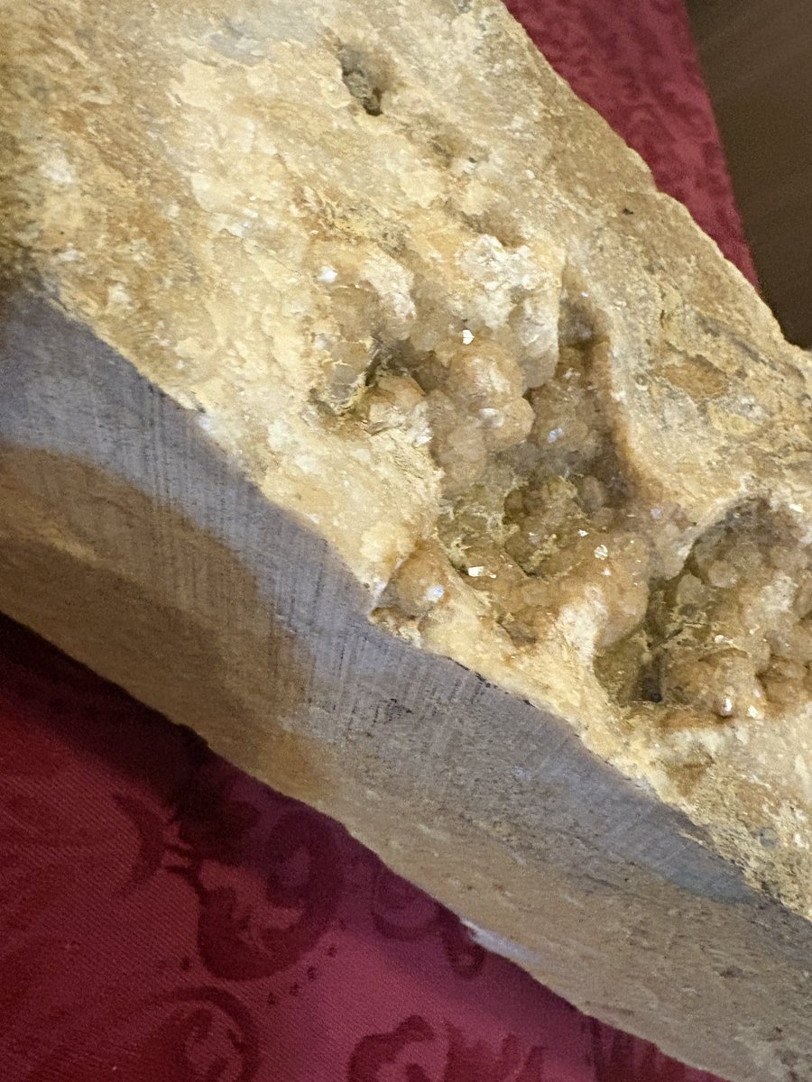 ワンダーパーラー　クラシカルメイド® tweet media