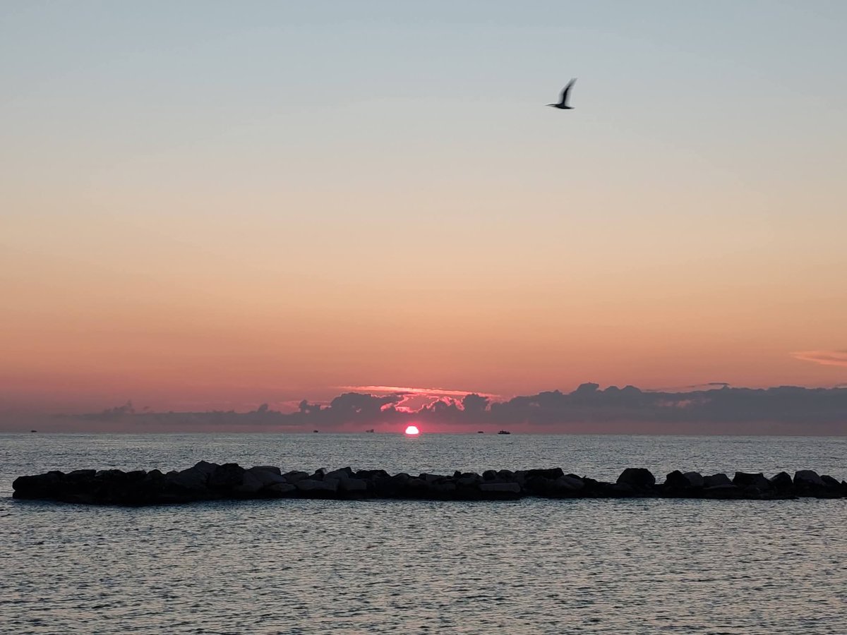 Simone Bordoni tweet media