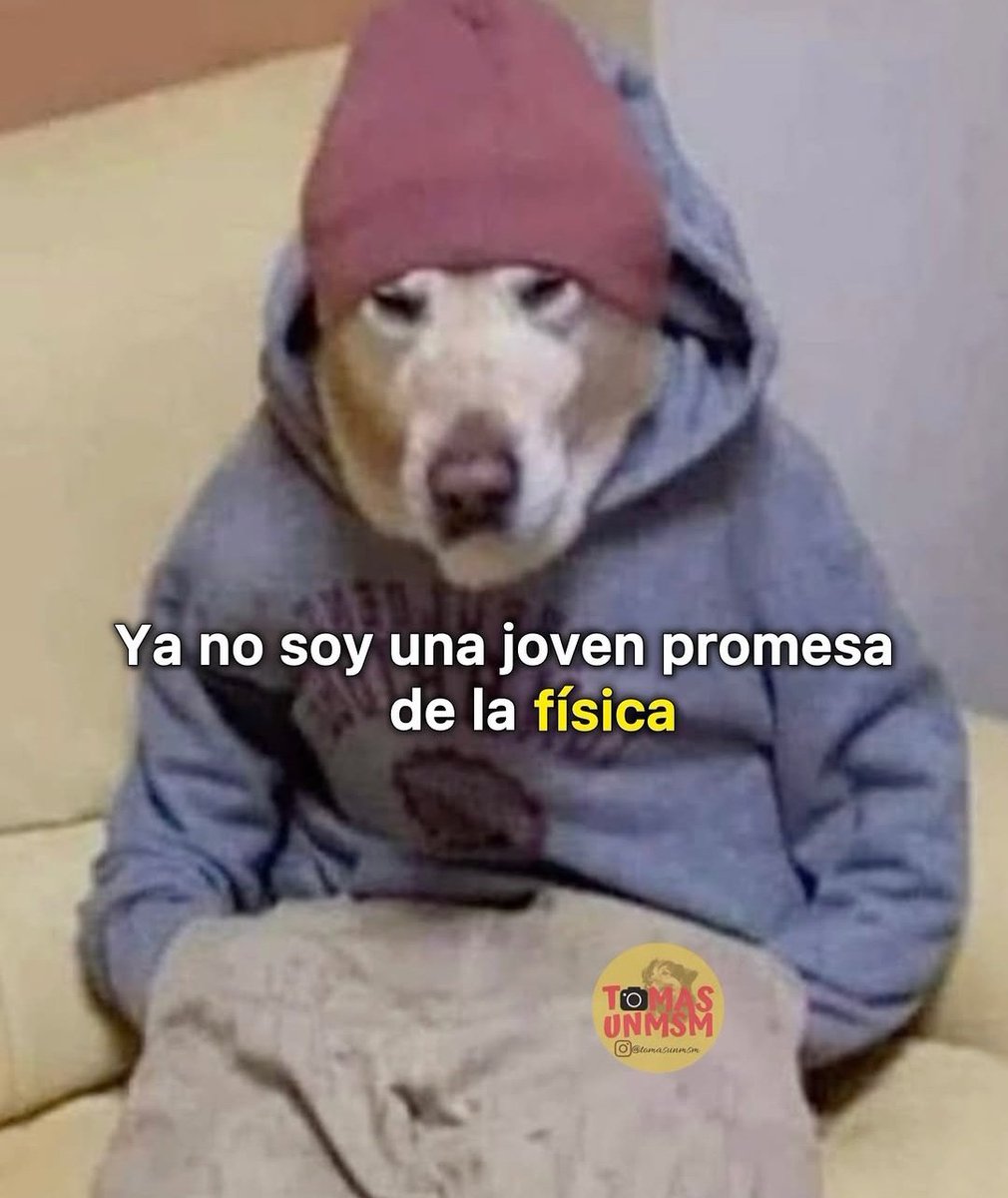 Fede 🦕🦖 tweet media