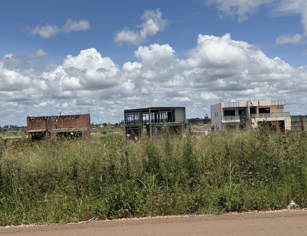 mmatigari tweet media