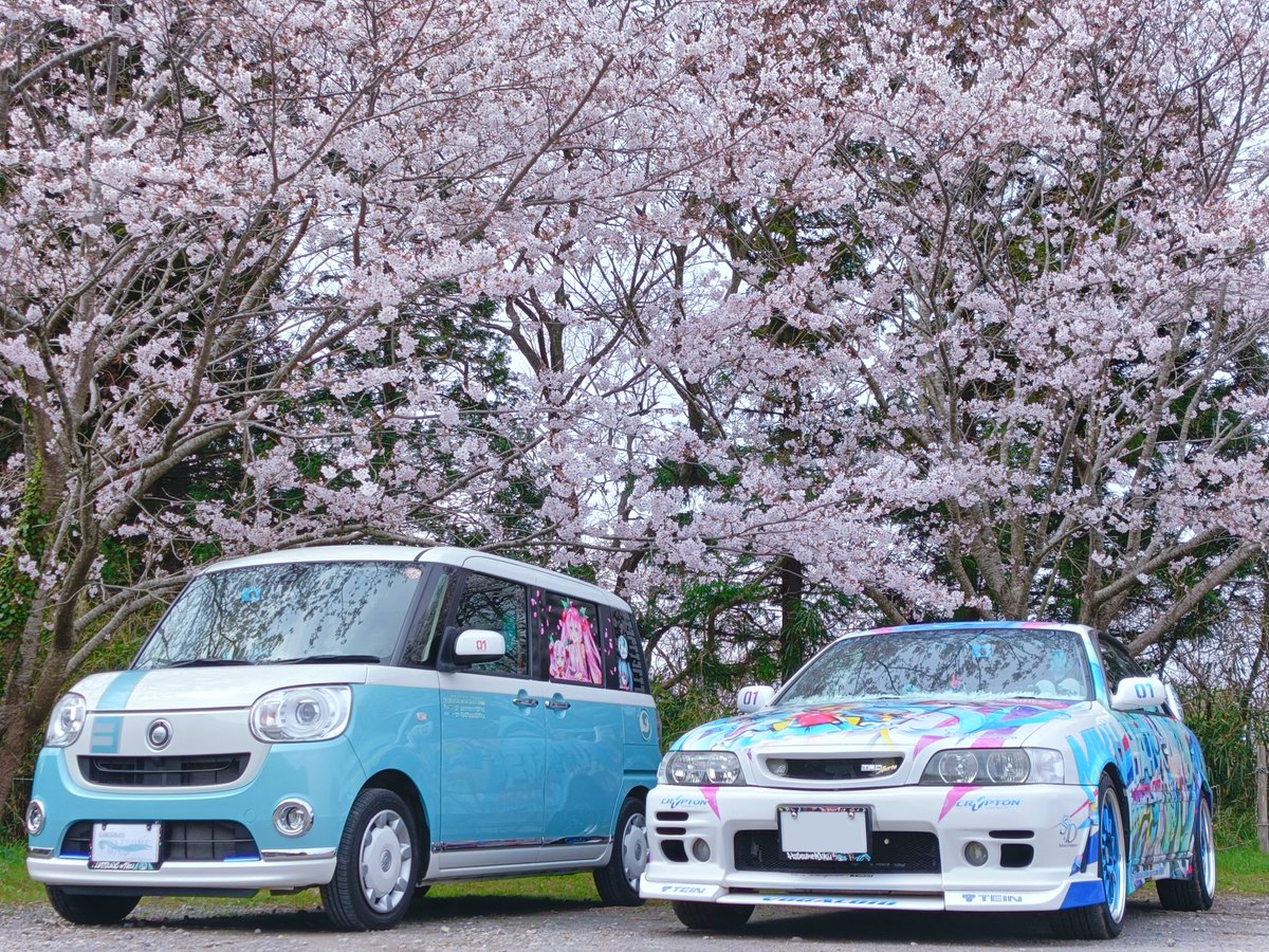 シオン🍎 tweet media