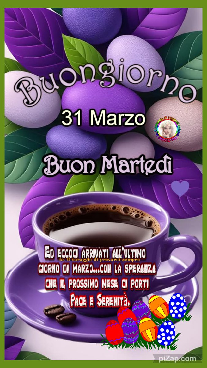 Dario Rossetto tweet media