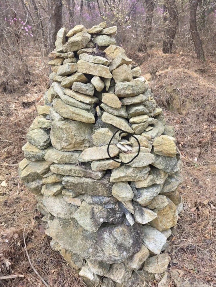 제이🇰🇷🇺🇸🇰🇷🇺🇸 tweet media