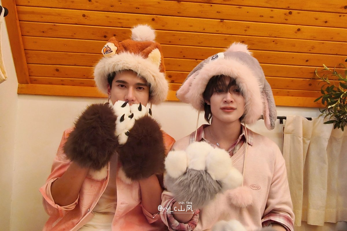 shanfeng tweet media