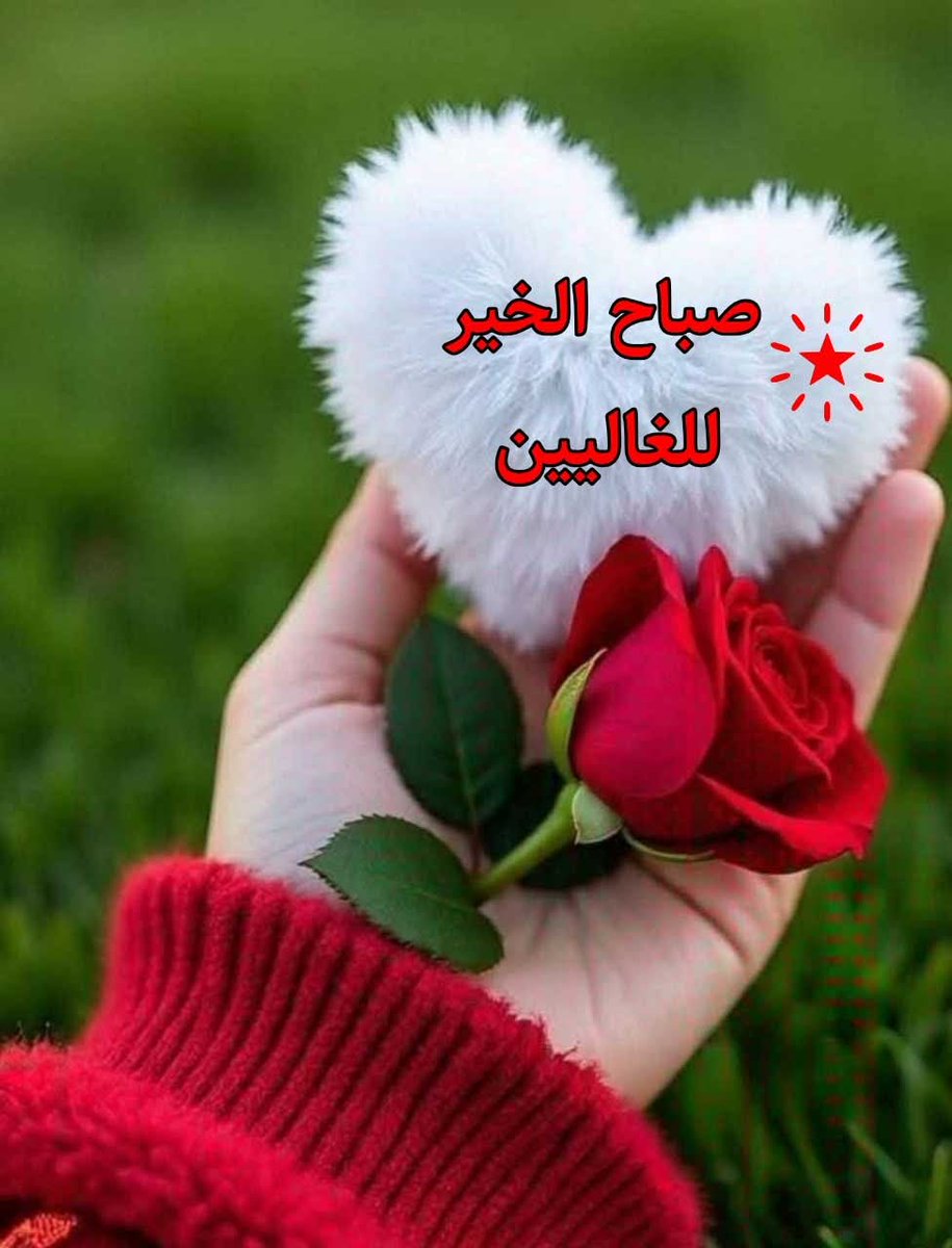 المستشار محمد الحاضري tweet media