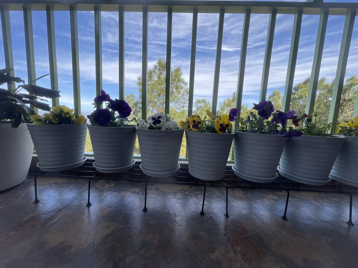 LyfInTransit's tweet image. Unfiltered/unedited views from/of my workplace! I have opted for peace of mind, clean air, water from Himalayan streams. This is slow life of a reverse migrant in Uttarakhand after leaving behind urban chaos. 

#365DaysOfUttarakhand #migration