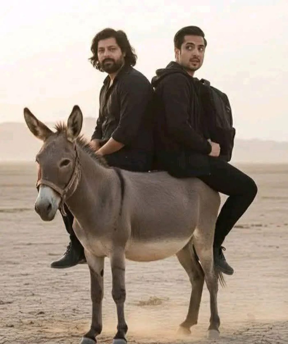 Fatima PTI tweet media