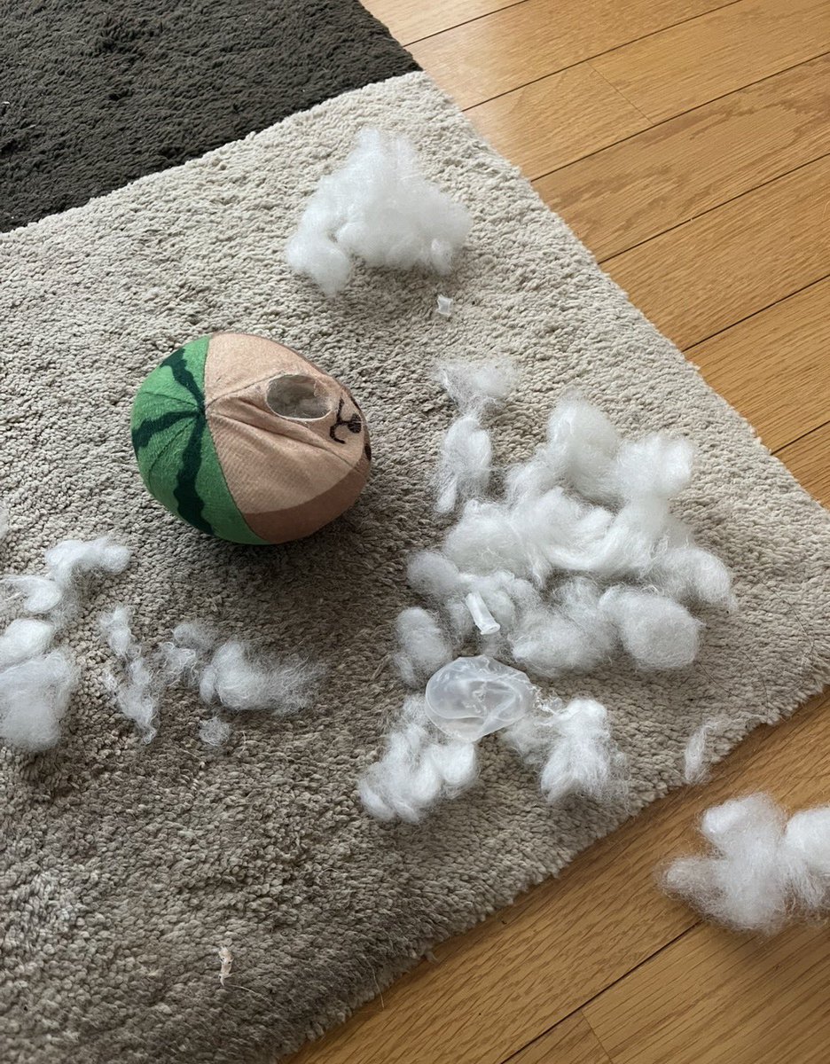 オードリー tweet media