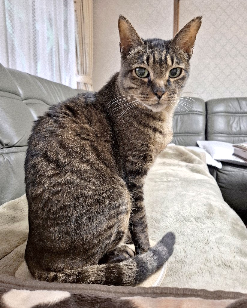 マッキー tweet media