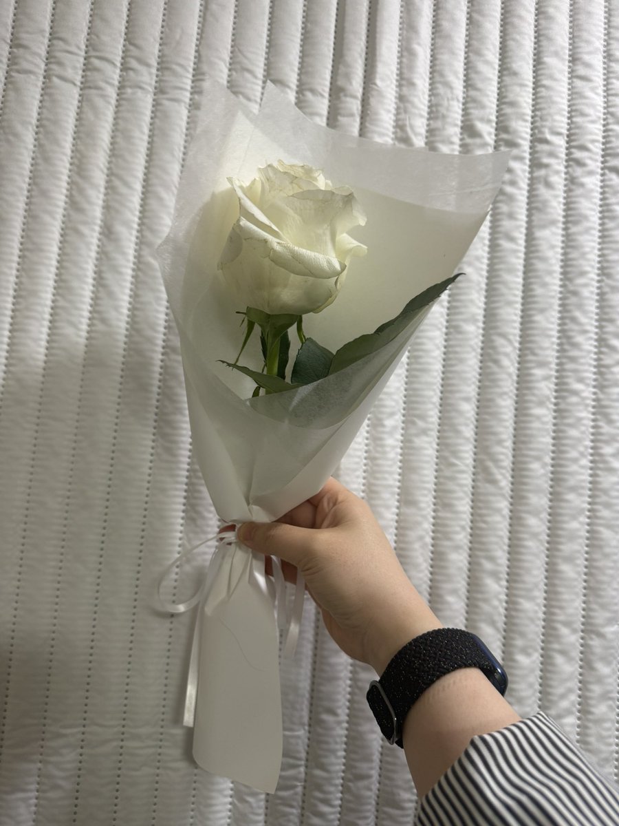 천천히 흘러가는 딩딩✨ tweet media