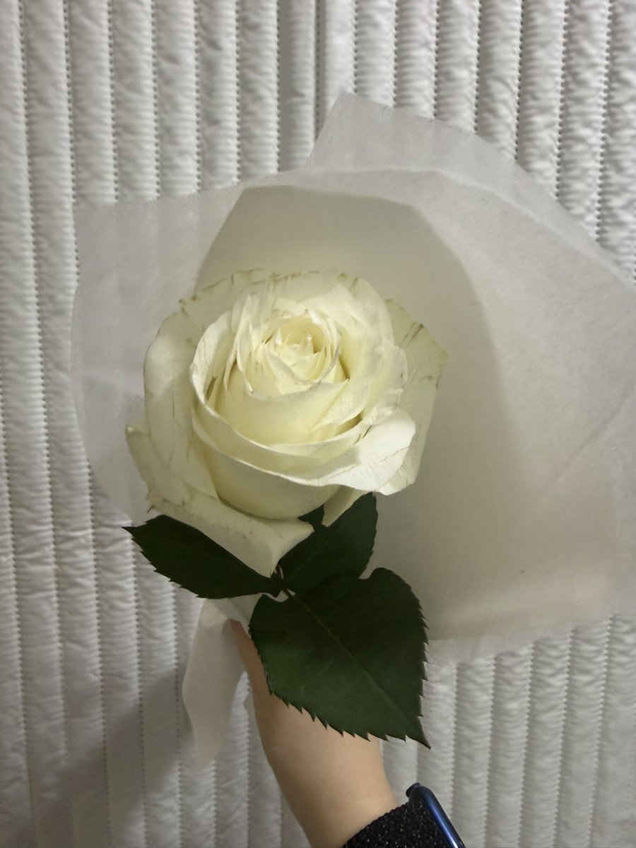 천천히 흘러가는 딩딩✨ tweet media