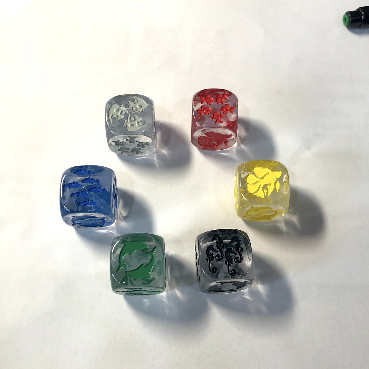 D.B.T.「犬吠列車」 tweet media