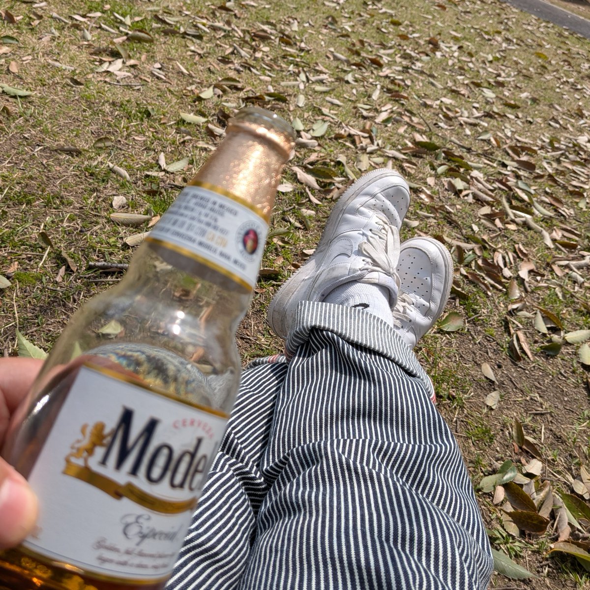 姪浜チェアリング協会【MCA】 #meinohama_chairing_association tweet media