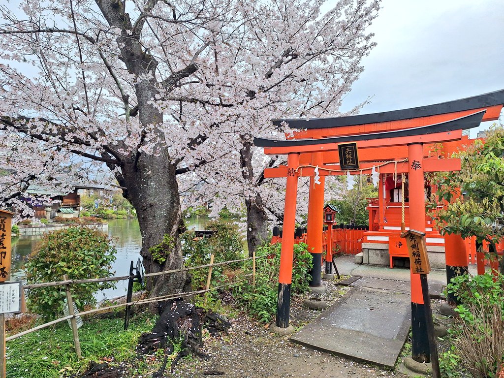 和み柴っこ【公式】 tweet media