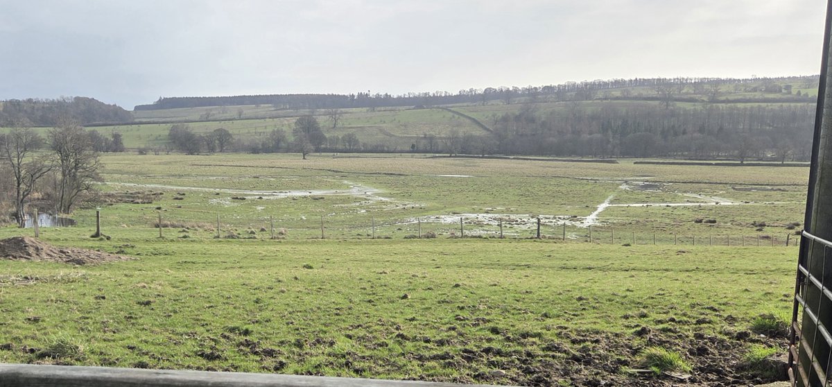 Dynamic Rivers tweet media