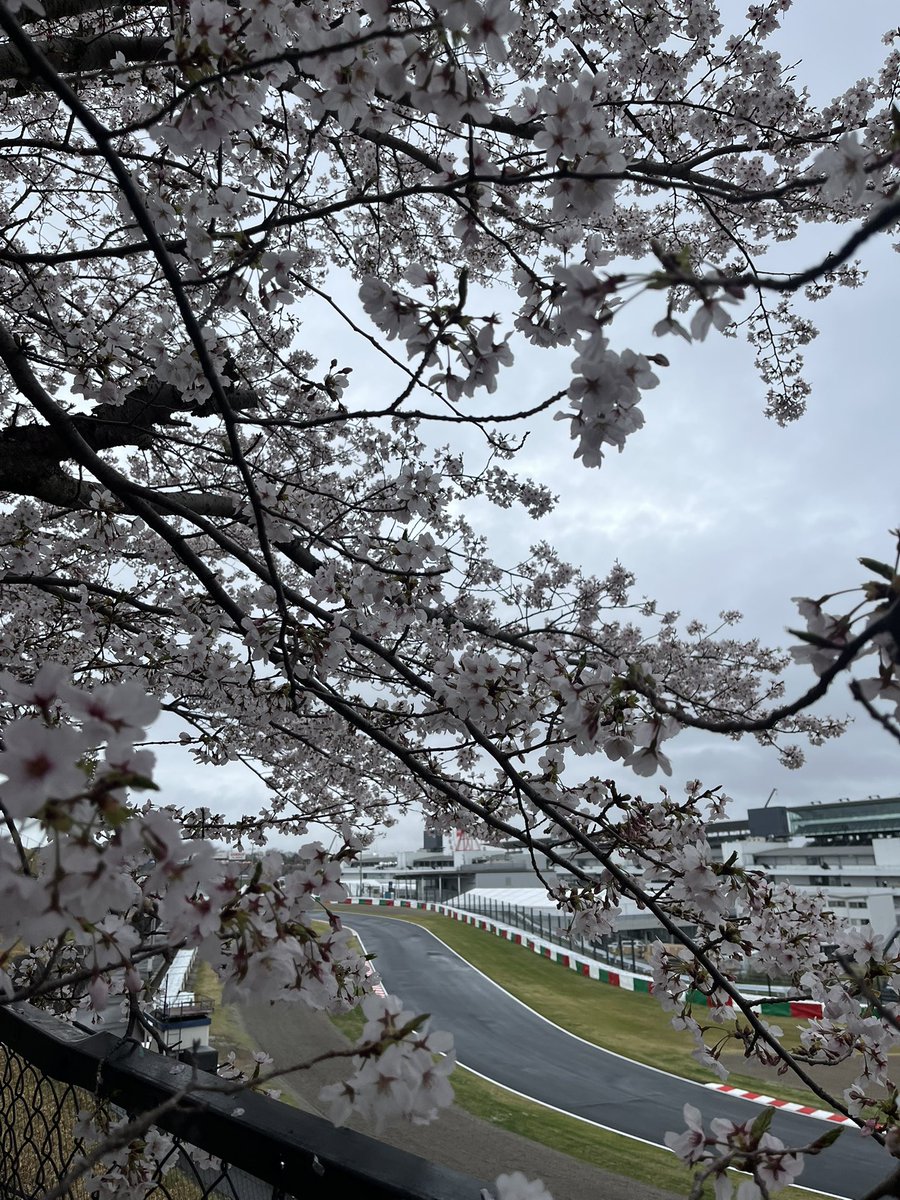 たかりゅー tweet media