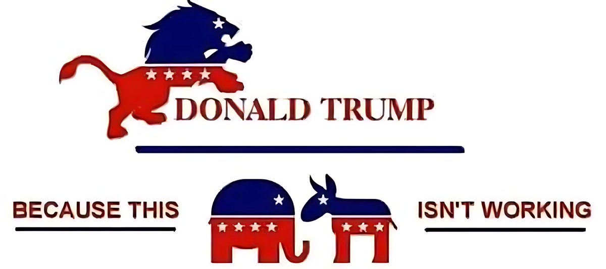 Cecilie Stipp tweet media