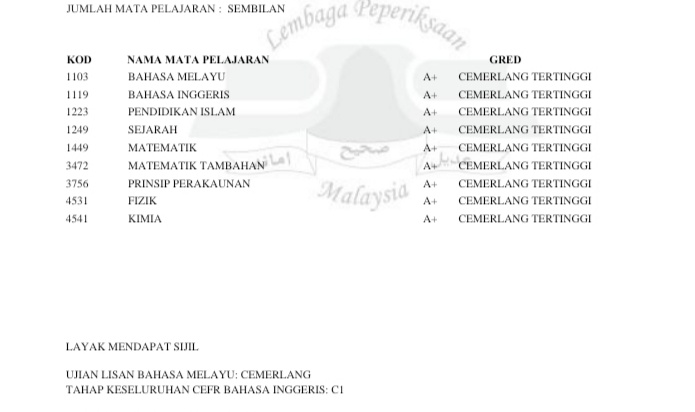 someidiotbot 🔻 tweet media