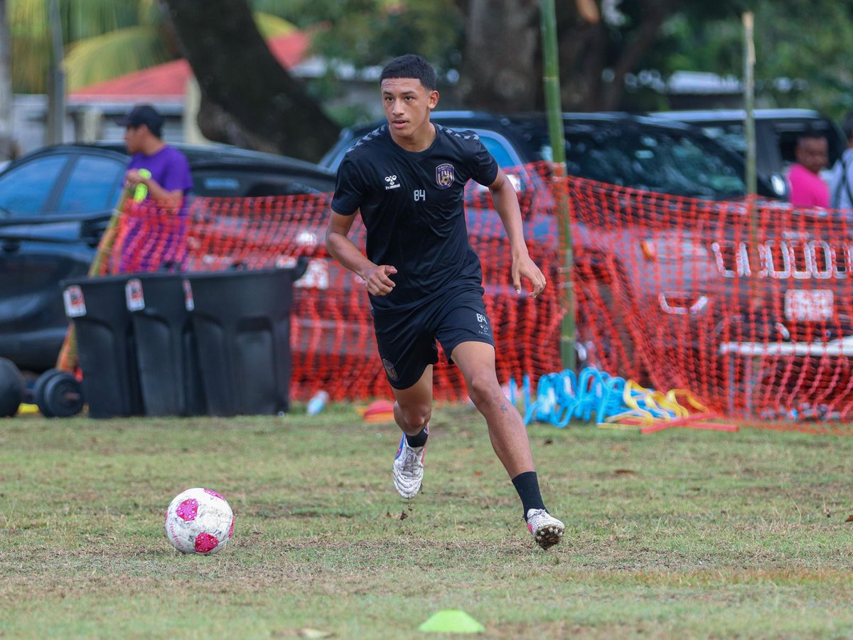 paracomentarse tweet media