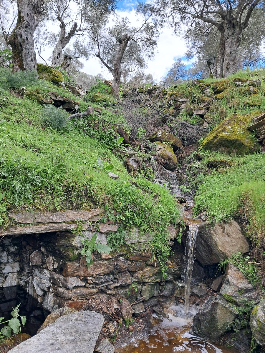 Murat Solak tweet media