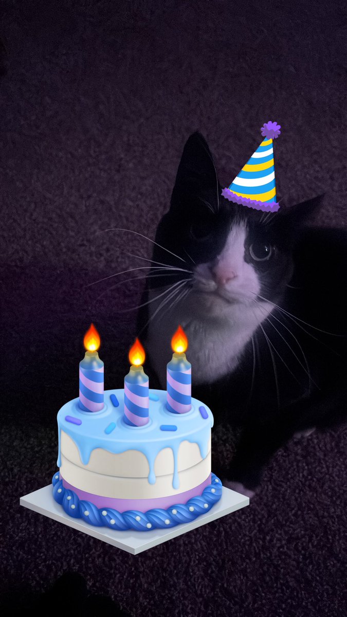 dead carmie tweet media