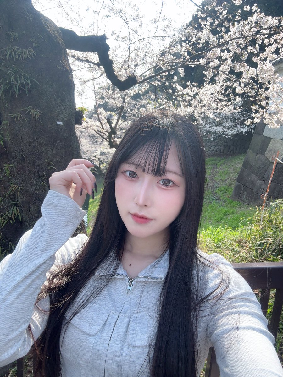 くるむ tweet media