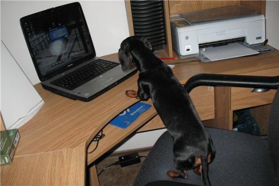 deathinlavender's tweet image. #blogging