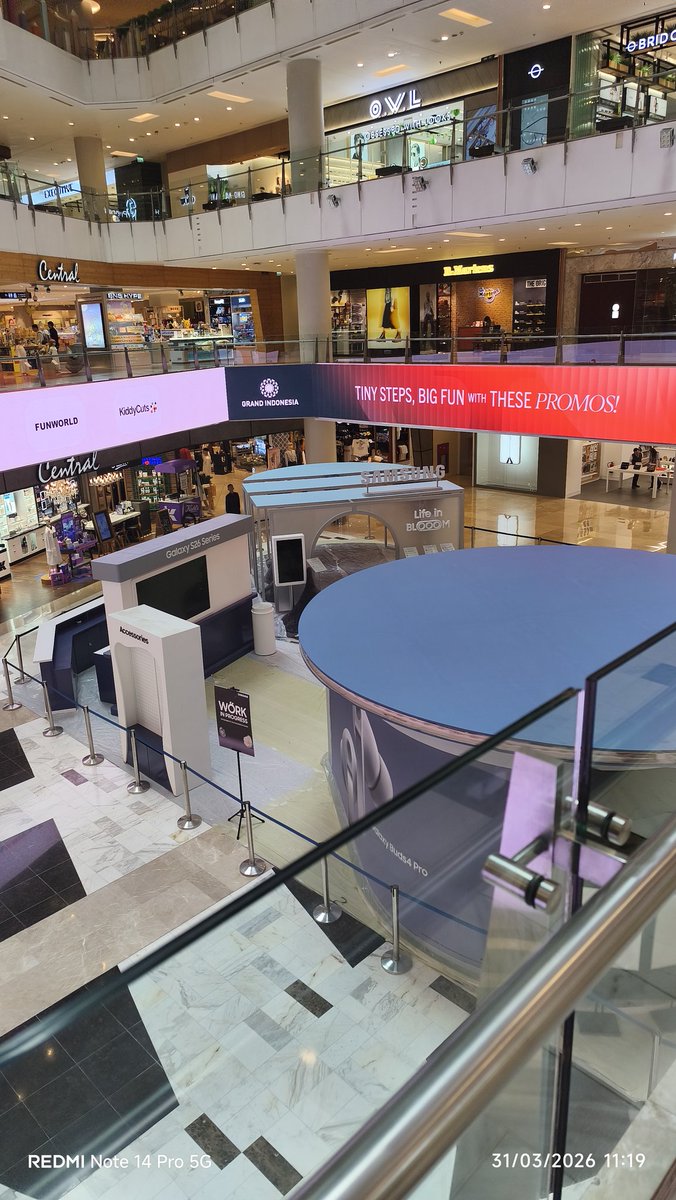 Helen ✩ w 🌱 tweet media