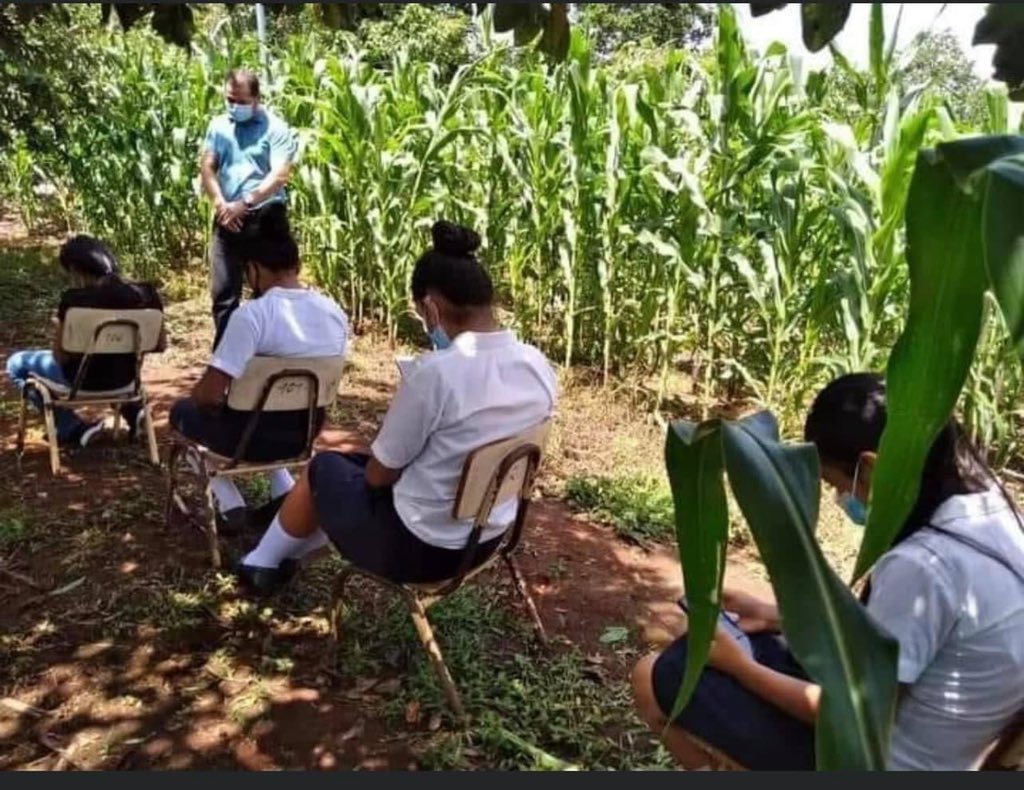 El Independiente tweet media