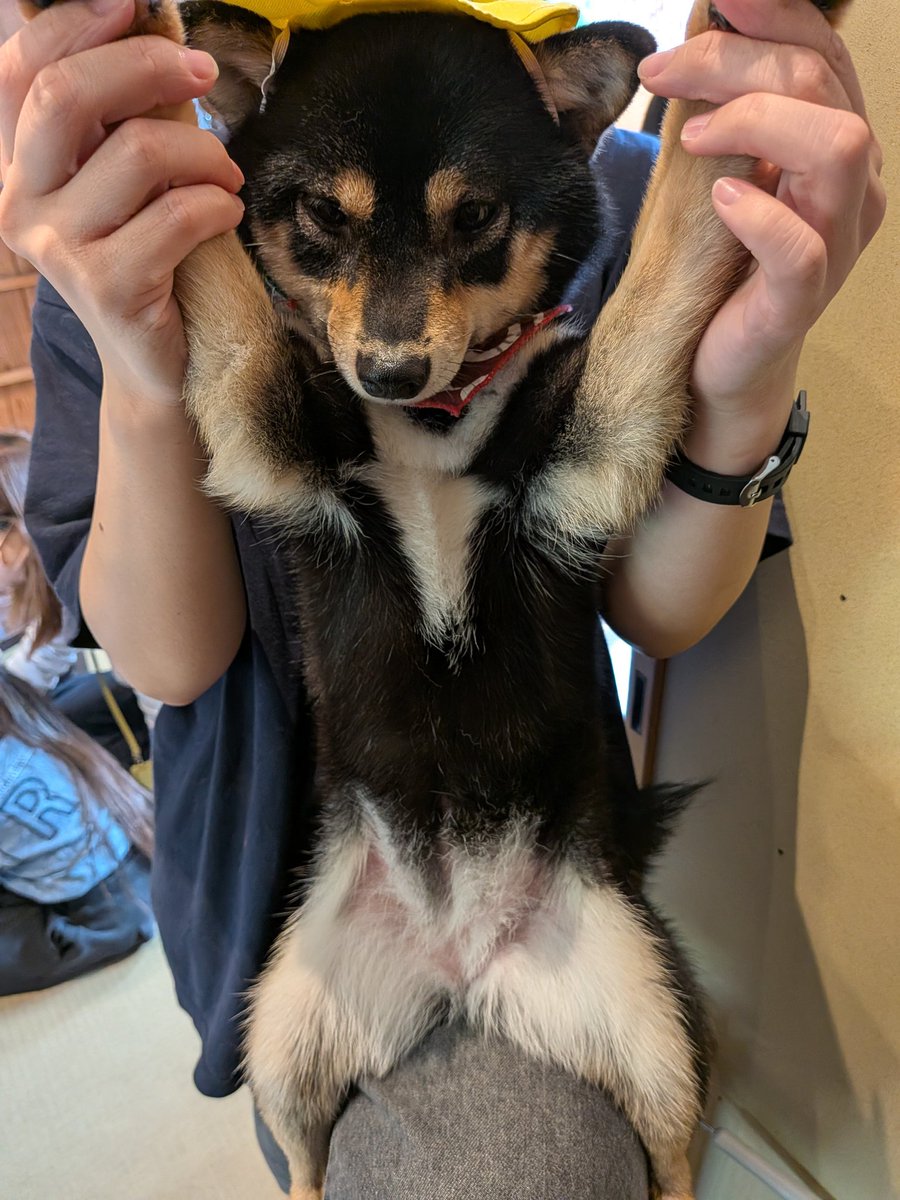 Brb cat on fire tweet media