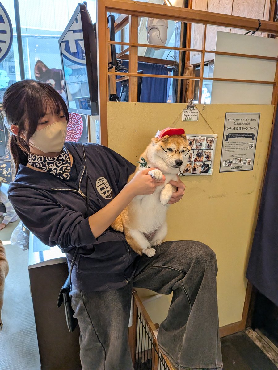 Brb cat on fire tweet media