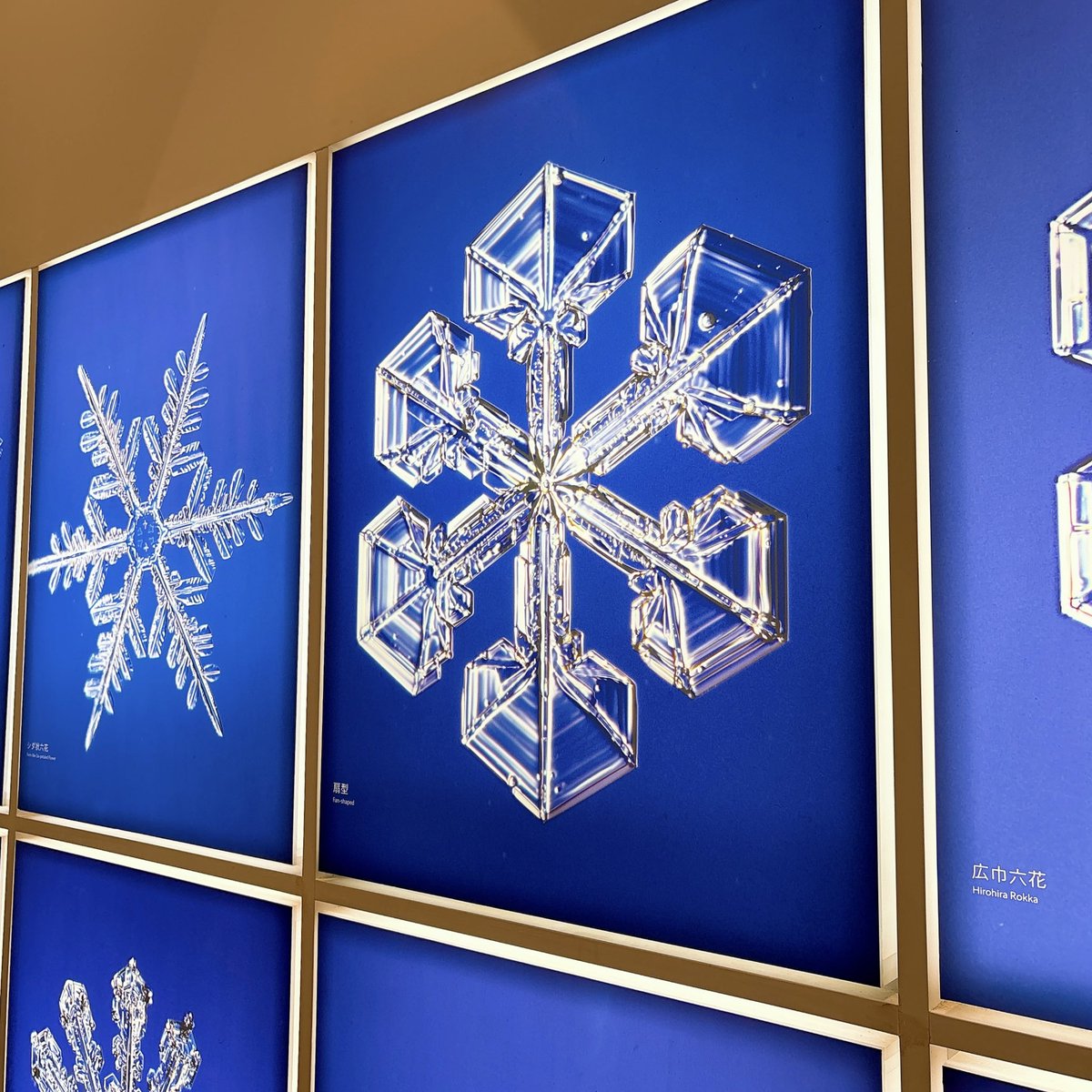 中谷宇吉郎雪の科学館 tweet media