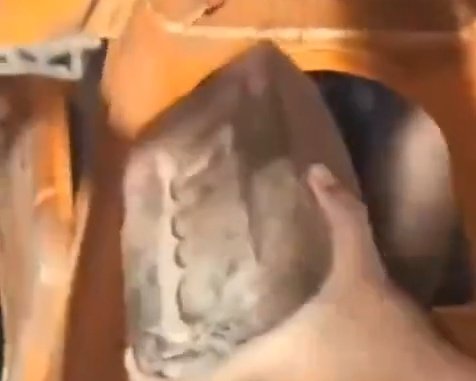 👓 Juan Botero ✨ tweet media